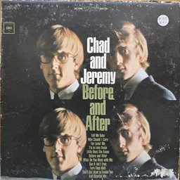 Cover of Before and After