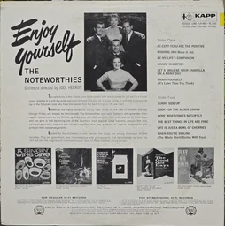 Back cover of Enjoy Yourself