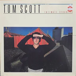 Cover of Intimate Strangers